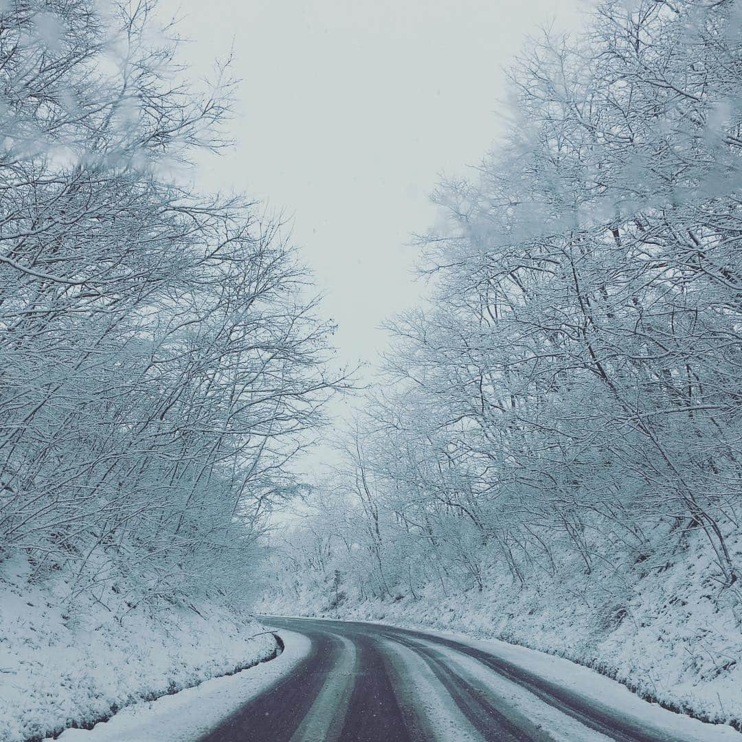 佐々木ゆう子さんのインスタグラム写真 - (佐々木ゆう子Instagram)「軽井沢 大雪・着雪警報発令中！！！ (桜もまだ咲いてないよ)  外出時、運転にはくれぐれもご注意くださーーい！！！ 今日はプレスクールのお迎えの後、習い事の送迎。時間に余裕を持って行動せねば！  #軽井沢 #雪 #大雪 #大雪警報 #着雪警報」4月10日 11時47分 - yuko_sasaki