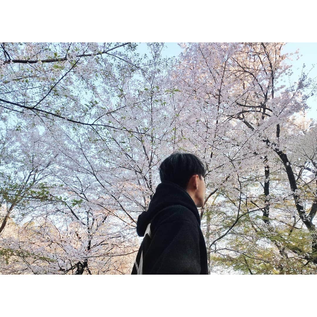 ダンソン・タンさんのインスタグラム写真 - (ダンソン・タンInstagram)「📸📸📸🌸🌸🌸 #DT視角 #唐禹哲 #东京 #櫻花  #HOTHEART #SEVENDAYS #DT #TOKYO #cherryblossom #sakura」4月10日 21時51分 - dt_0902