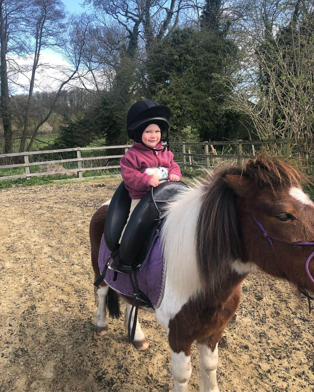 サム・フェアーズさんのインスタグラム写真 - (サム・フェアーズInstagram)「Rosie’s first trot by herself today 👏🐴 #proudmummy」4月10日 21時54分 - samanthafaiers