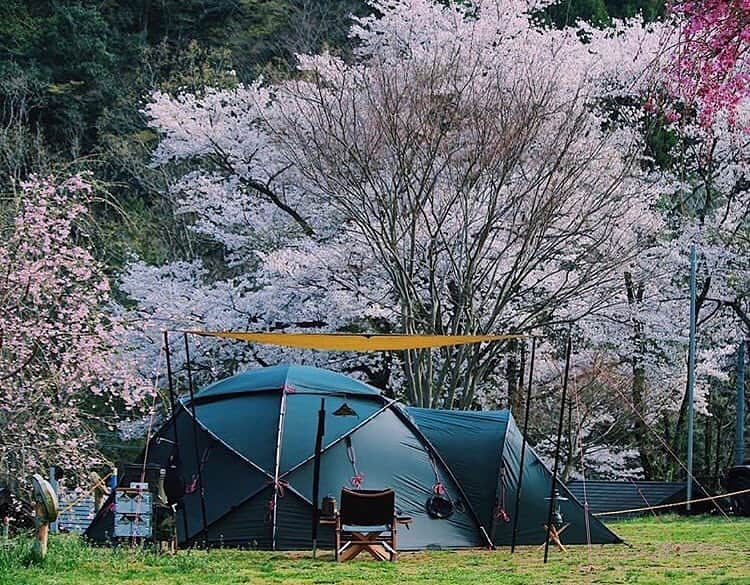 hinata_outdoorさんのインスタグラム写真 - (hinata_outdoorInstagram)「@pretty_gian_ugoさんのpic✨  桜とアトラスの見事なコントラスト👏🎉 満開の花の中にカッコいいアトラス…🌸🏕 ずっと眺めていられそうです🤩🎶 ⠀ ⠀ 〜今年も見納め👀👏桜とテントの共演お花見キャンプ🌸🏕〜 待ち望んだ桜も、咲いてから散るまではあっという間…🥺今年も見事な桜とコラボレーションしているキャンプサイト写真をご紹介します😆🙌 ⠀ ⠀ 🌳🌲🌼🌳🌲🌲🌳🌲🌳🌲🌻🌳🌳 #hinataoutdoor を付けて アウトドア風景を投稿してください😊 🌳🌲🌳🌲🌻🌲🌳🌲🌳🌼🌲🌳🌳 ⠀ ⠀ 素敵なお写真はリポストさせて頂きます✨ ⠀ ⠀ 🚙キャンプや山登りのアウトドア情報はプロフィールのURLから ➡ @hinata_outdoor ⠀ ⠀ ⠀ ⠀ 🍖美味しそうなキャンプ料理の写真は➡️ @hinata_gohan * * #キャンプ #春キャンプ #お花見キャンプ #アウトドア #アウトドアギア #桜 #サクラ#絶景キャンプ #campgear #outdoorgear #camp #campliving #outdoor #campstyle #camping #campinglife #camplife #outdoorstyle #outdoors #outdoorliving #outdoorlife #hinataoutdoor #フォローミー #followme」4月10日 22時21分 - hinata_outdoor