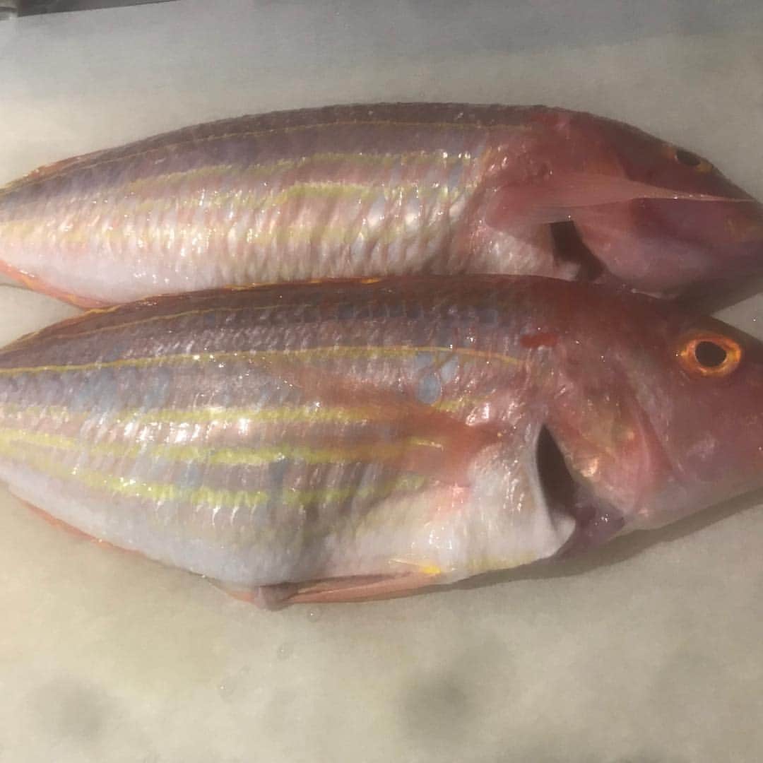 sdiningのグルメインスタ