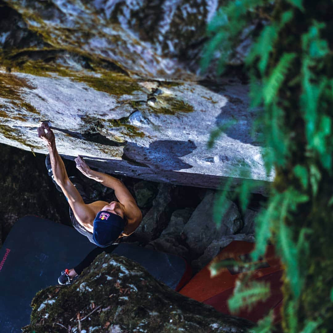 ルスタン・ゲルマノフのインスタグラム：「Last week I spend few days in Maravian karst.  Thanks @adam.ondra for introducing his home training place. 📸@konecnik  ____________________ @redbull_rus @redbull @adidasterrex @fiveten_official @ #adidasterrex #livewithoutlimits #gr #chalkmatters #climbing #sportclimbing #bouldering #rockclimbing #climbing_pictures_of_instagram」