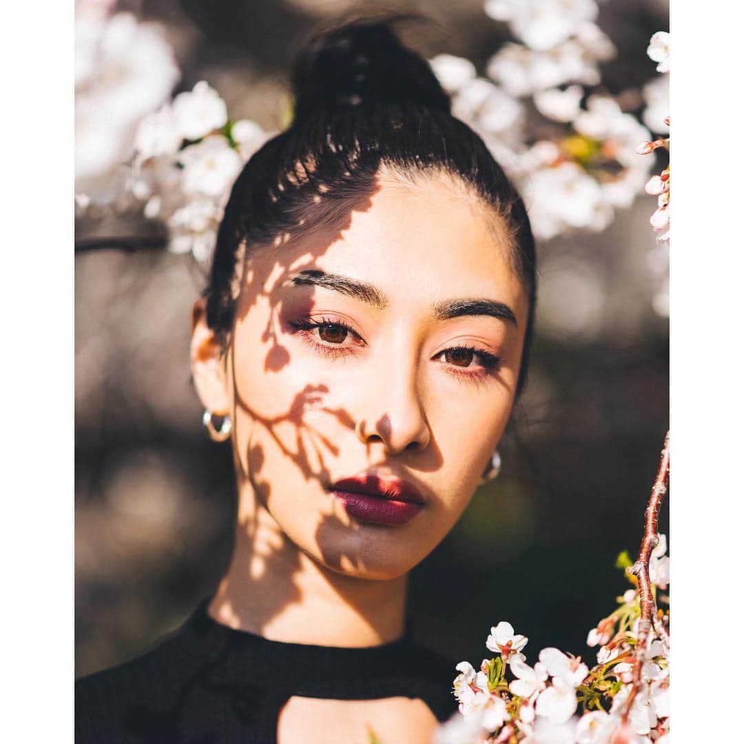 河内セリアさんのインスタグラム写真 - (河内セリアInstagram)「Sakura Vibes🌸 #cherryblossom #japan」4月10日 23時01分 - seriakawachi