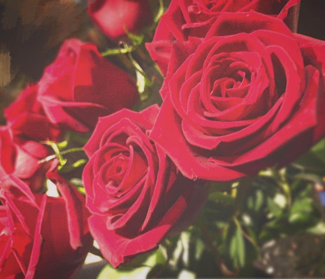 佐藤杏樹のインスタグラム：「母の誕生日に薔薇の花束あげました🥀」