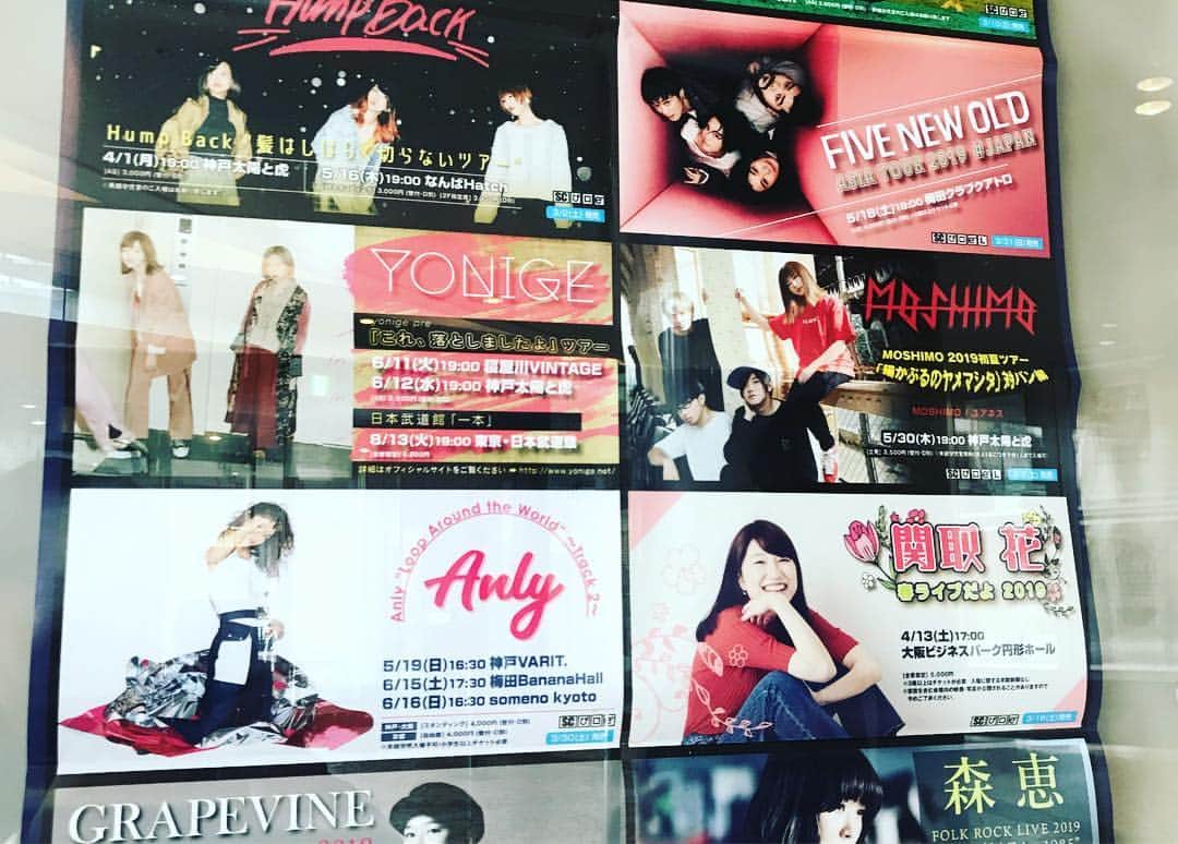 森恵さんのインスタグラム写真 - (森恵Instagram)「今日は大阪・京都でキャンペーン！ ★14時30分頃〜生出演！ FM OH！『LOVEFLAP』 ★16時30分頃〜生出演！ α-STATION『KYOTO AIR LOUNGE』 聴いてねー！！ #大阪 #7月28日(日)  #Banana Hall #バンドツアー #fmoh! #LOVEFLAP  #京都 #5月4日(土)  #FANJ #バンドツアー #α-STATION #KYOTOAIRLOUNGE」4月10日 14時15分 - morimegumi_official