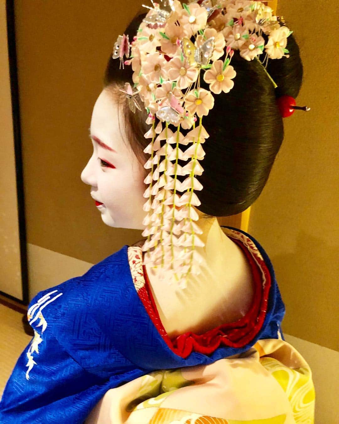 朝日光輝さんのインスタグラム写真 朝日光輝instagram 舞妓さん 髪飾り 京都 Kyoto 上七軒 舞妓 舞妓さん 市ぎく 綺麗 美しい 素晴らしい 髪飾り 日本髪 着物 日本 Japan 桜 さくら サクラ 伝統 文化 Beautiful 最高 ありがとうご