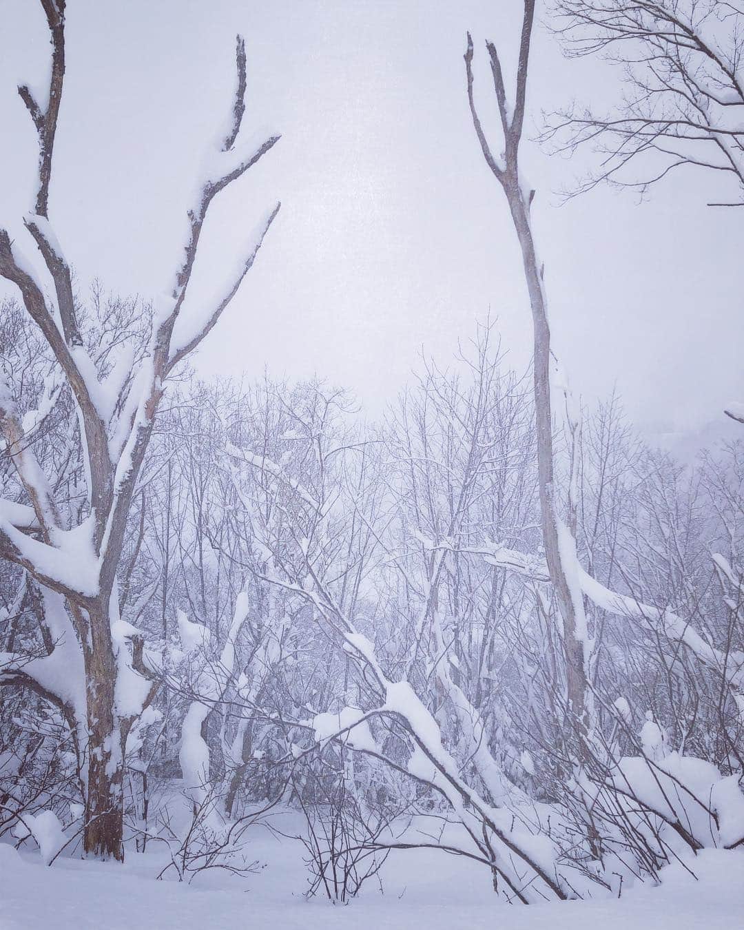 三星マナミのインスタグラム：「❄︎ シーズンが戻ってきた！…ような春🌸 ❄︎ ❄︎ #mountainlife #nozawaonsen」