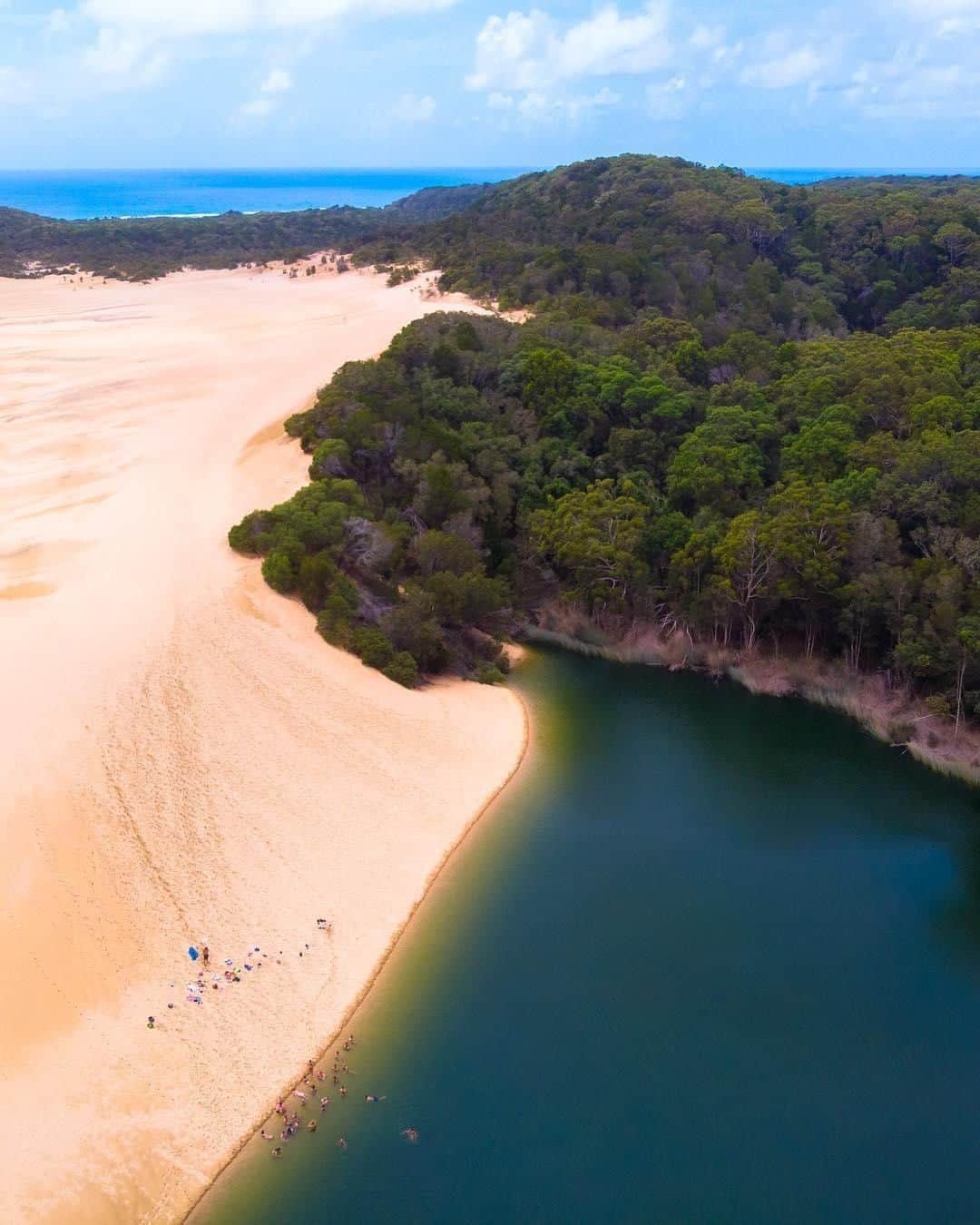 Australiaさんのインスタグラム写真 - (AustraliaInstagram)「An emerald green lake bordered by a massive sand dune? Only on @visitfraserisland! @wilkjames did a “45-minute hike through the bushland” to get to #LakeWabby, which is both a window lake (lakes that form when the ground level falls below the water table) and a barrage lake (lakes that form when a sand blow blocks the waters of a natural spring). In other words, it’s a rather unique natural phenomenon! Due to unavoidable forces, the #sanddune is slowly moving into the #lake, so you best visit this island on @queensland's @visitfrasercoast soon, before it completely swallows this beautiful body of water. 😮  #seeaustralia #thisisqueensland #visitfrasercoast #fraserisland #naturephotography #travel」4月10日 15時00分 - australia