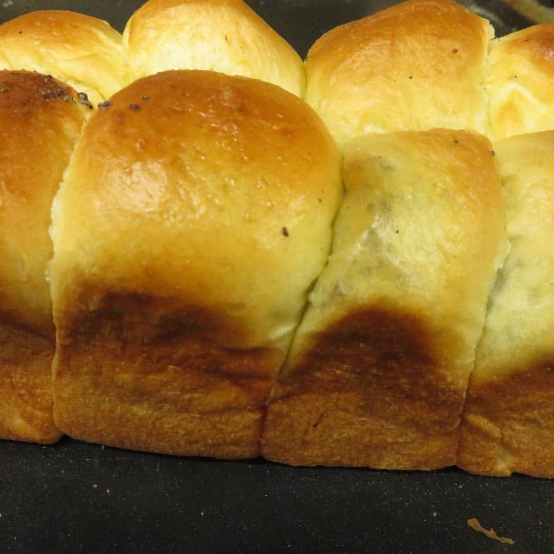 魔女菅原のグルメインスタ