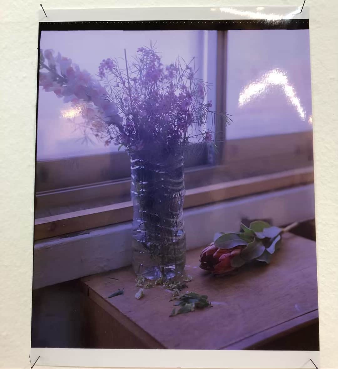 ヒョナ さんのインスタグラム写真 - (ヒョナ Instagram)4月10日 15時30分 - hyunah_aa