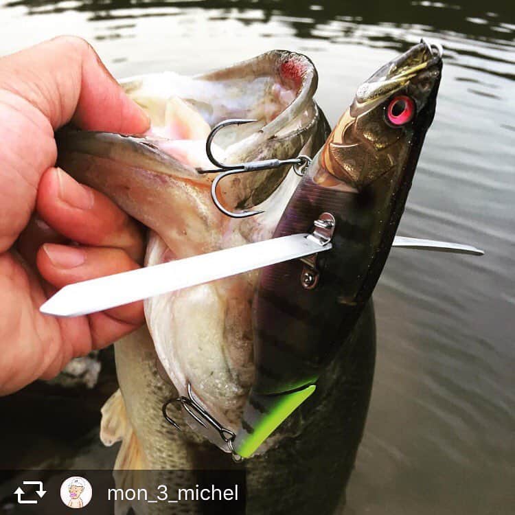 Megabass Inc さんのインスタグラム写真 Megabass Inc Instagram I Wingでの釣果 メガバスプロスタッフ門永氏よりタイムリーな釣果レポートです デリバリー開始は今月末からです Megabass メガバス Mymegabass Iwing Iwing135 Iウイング アイウイング
