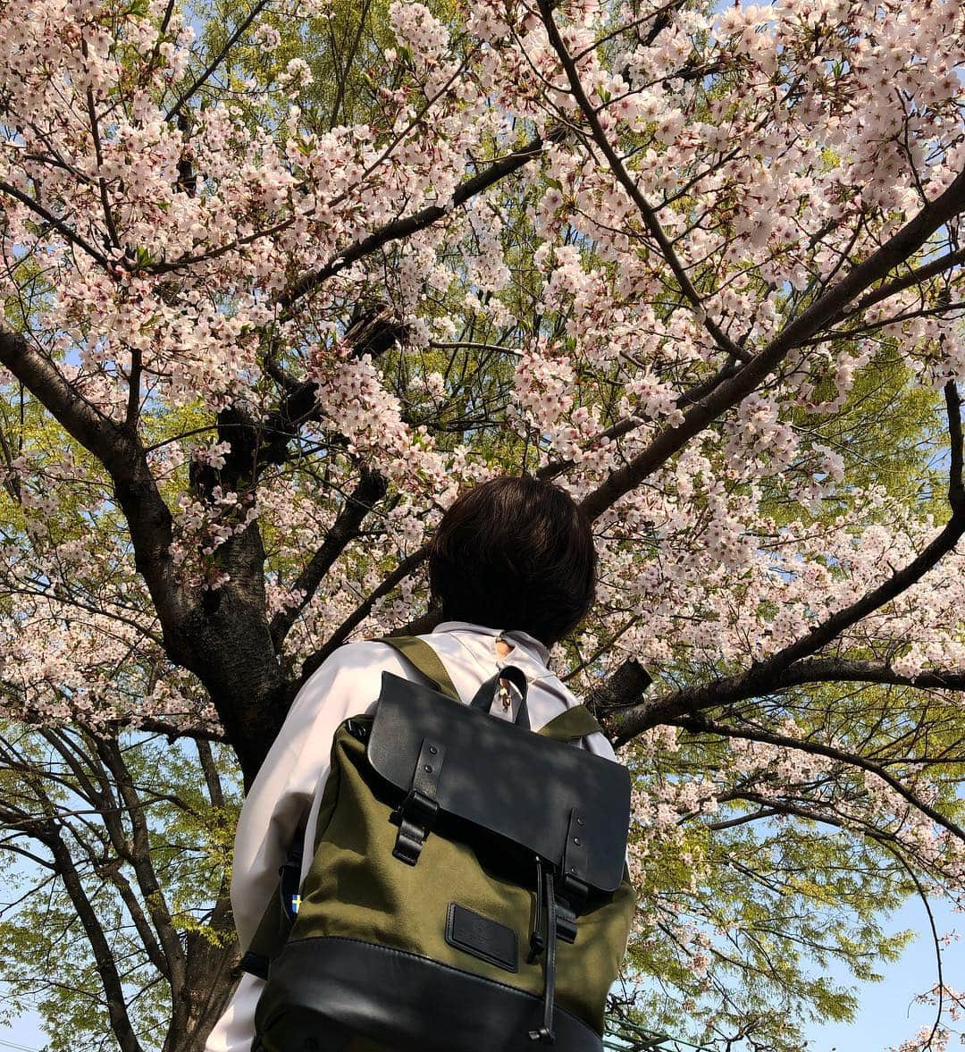 kamunaさんのインスタグラム写真 - (kamunaInstagram)「先日近所の公園にて🌸  今日は寒い #花散らしの雨 が降ってしまいましたが この日は ガストンルーガ さんの オシャレなリュックと お花見🌸 ●公式サイトで15%offディスカウントコード: ‪tansoku15　(期限なし)‬ ●公式オンラインストア　http://gastonluga.com ●送料無料です。 #モデルは友人 #GastonLuga #ガストンルーガ #バックパック #リュック#さくら」4月10日 15時56分 - tansoku_love