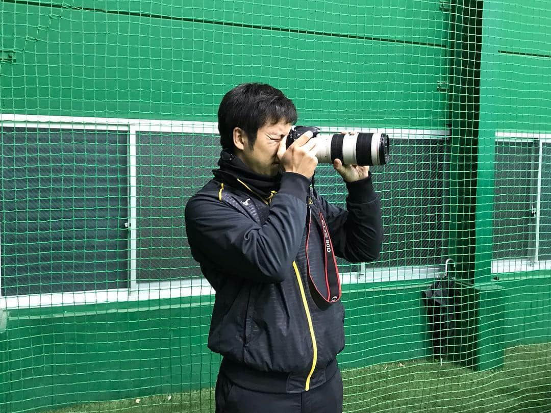 阪神タイガースのインスタグラム