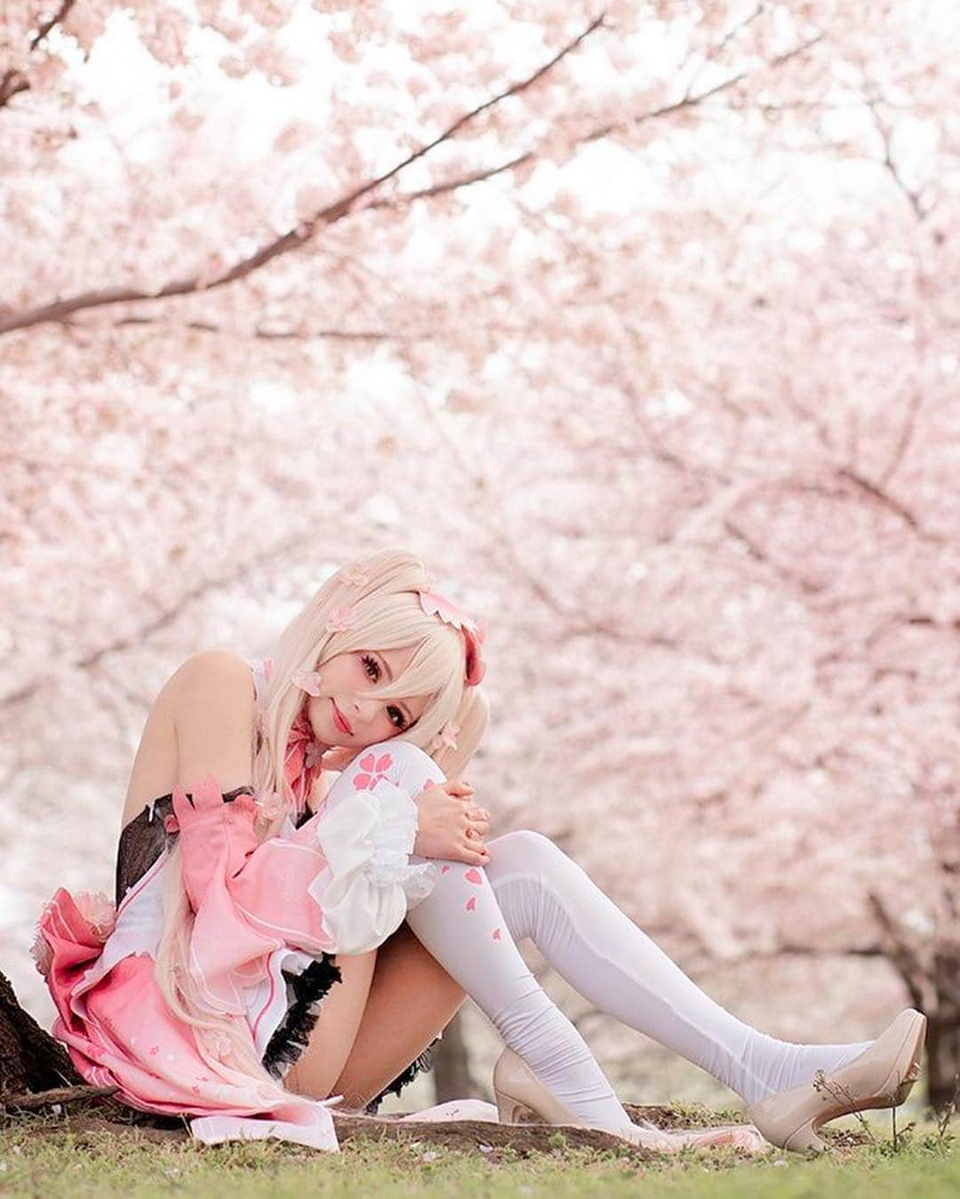 ソフィーさんのインスタグラム写真 - (ソフィーInstagram)「🌸Sakura Hatsune Miku 🌸 . I'm just so excited! Here's a little preview of this set! There are so many good photos I can't choose! 💗 . This full set HQ set, Prints, Selfies & videos  will be on my Patreon this month! . . #sakuramiku #sakuramikucosplay #hatsunemiku #hatsunemikucosplay #cosplayer #cospaly #japan #sakurajapan #peachmilky」4月10日 16時28分 - peachmilky_