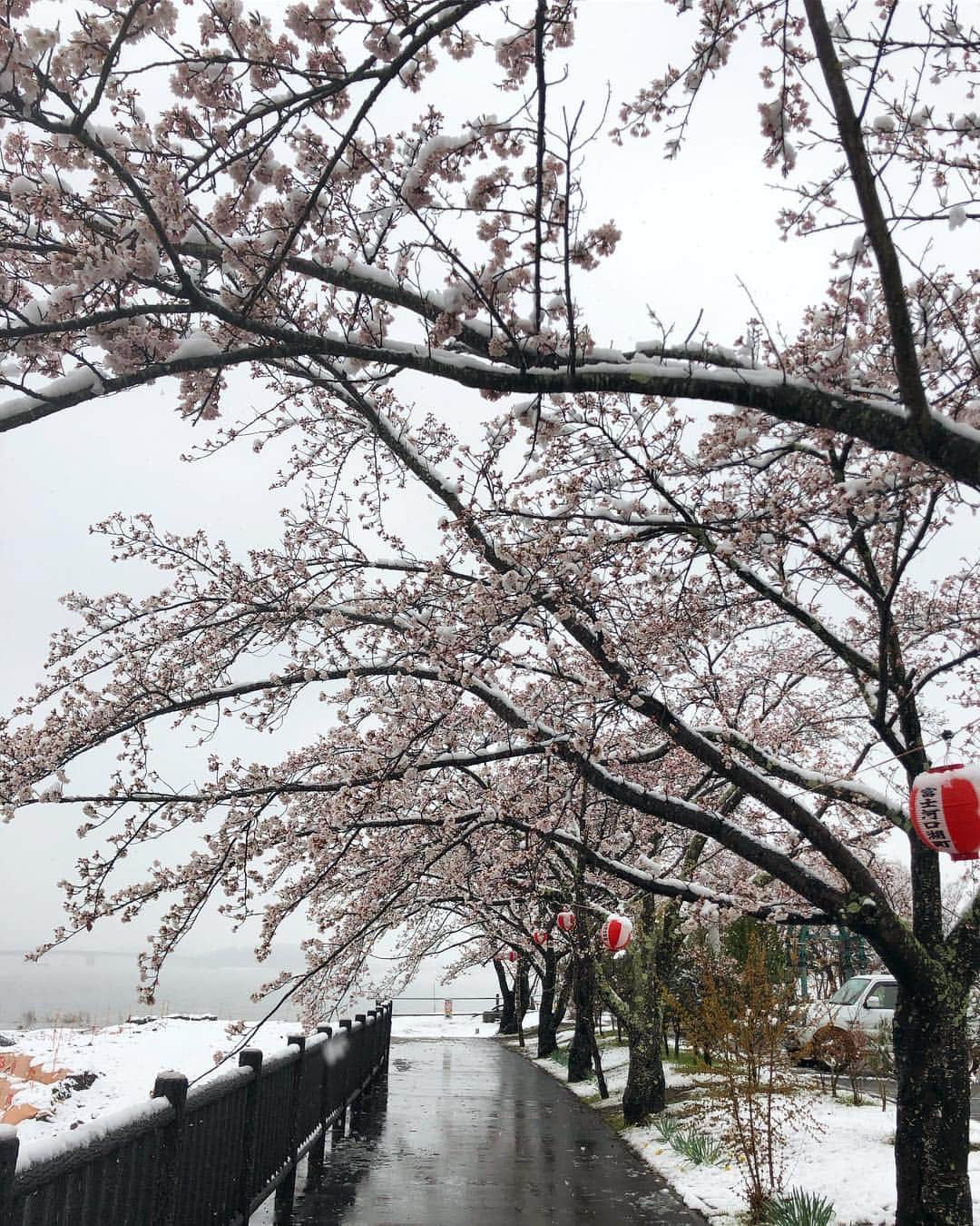 楪望さんのインスタグラム写真 - (楪望Instagram)「4月に関東甲信で雪が降るという、季節はずれの寒さ☃️❄️ * 山梨県・河口湖周辺に来ています🚐 * 河口湖では今ソメイヨシノは３分咲きくらい🌸 桜と雪という、なかなか珍しい組み合わせを観に、わざわざ訪れる方もいらっしゃいました👨‍👩‍👧‍👦 * 4月にダウンコートを着る日が来るなんて…驚いています👀💥 * 今日はAbemaNewsでの生中継を終えた後、テレ朝番組用の取材という二本立てのスケジュールでした🎥💁‍♀️📺 #テレビ朝日 #abemanews #雪 #桜 #取材 #季節はずれ #☃️ #🌸」4月10日 16時33分 - nozomi_yuzuriha_official
