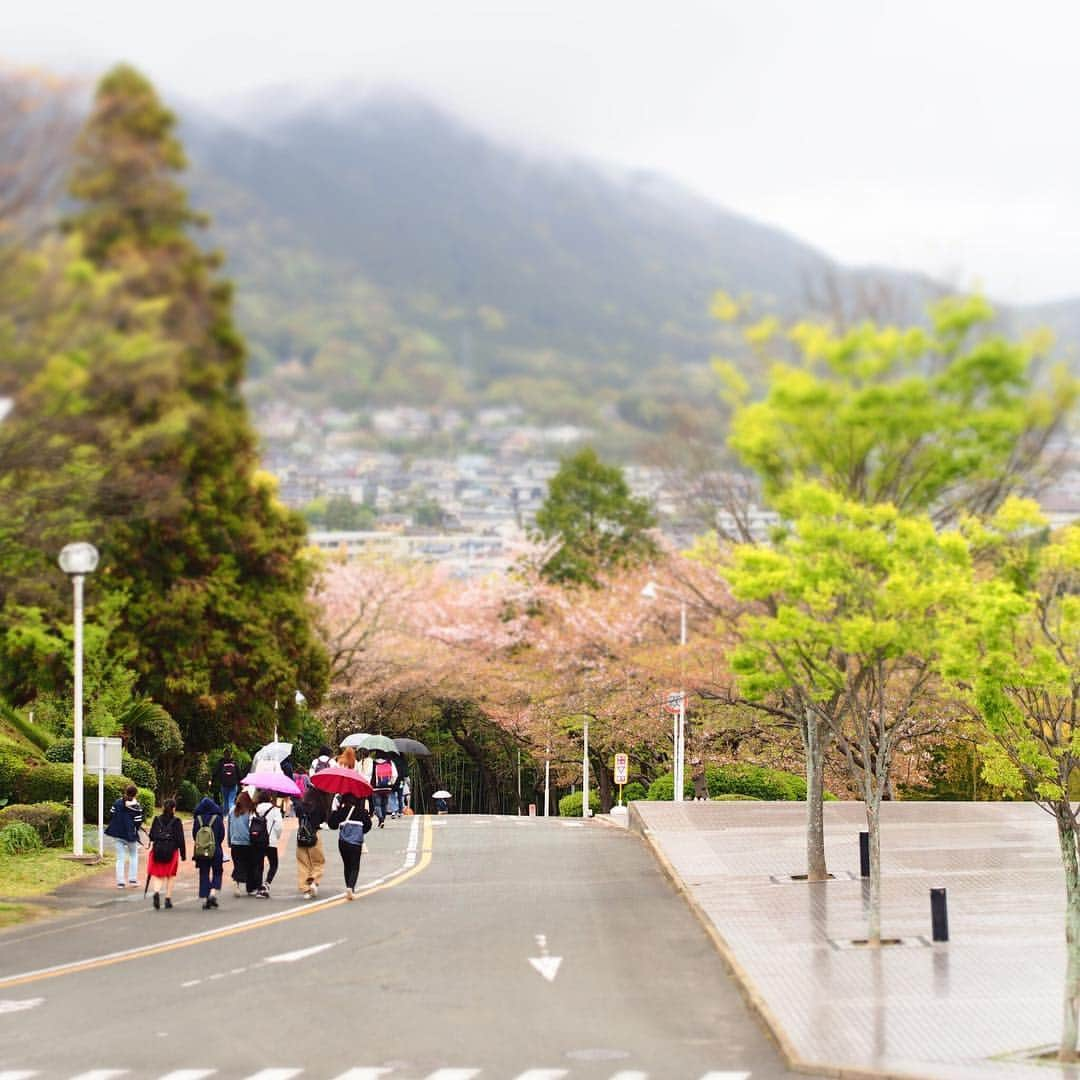 福岡女子短期大学のインスタグラム