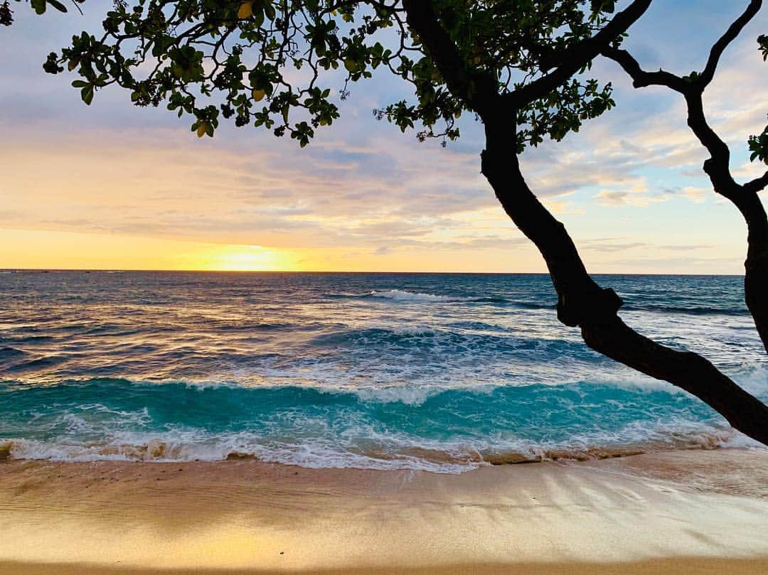 ジェンソン・バトンさんのインスタグラム写真 - (ジェンソン・バトンInstagram)「The last sunset of our baby moon was pretty spectacular 😍#babymoon #bigisland #hawaii @brittnyward」4月10日 16時43分 - jensonbutton