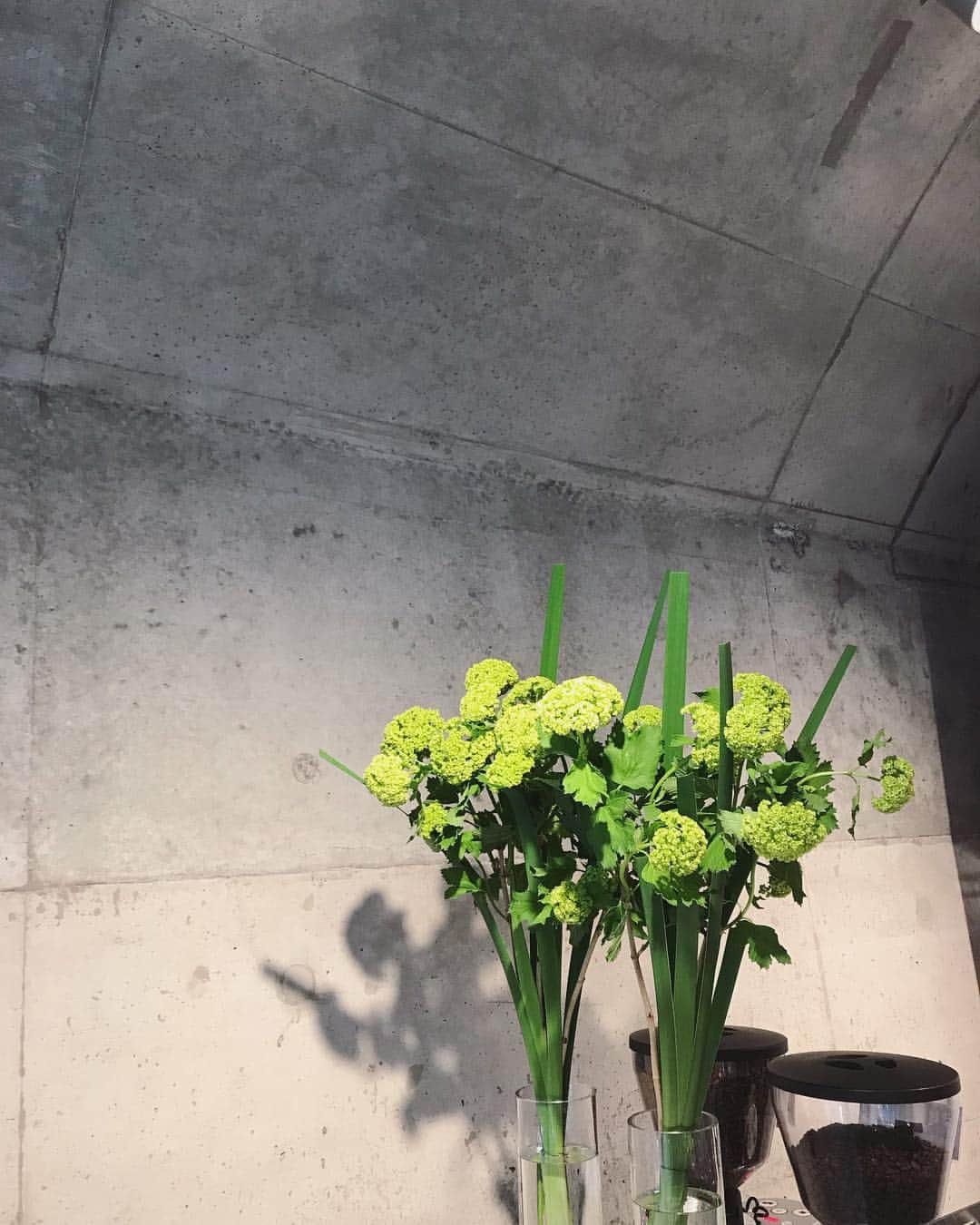 座間アキーバのグルメインスタ