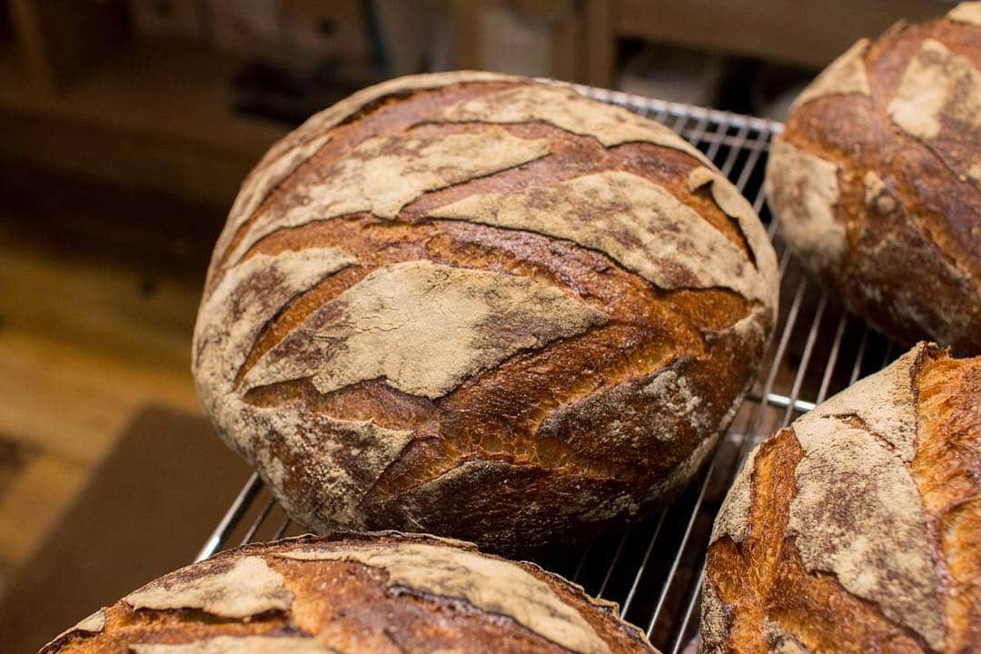 笹塚駅のパン屋さん オパンのグルメインスタ