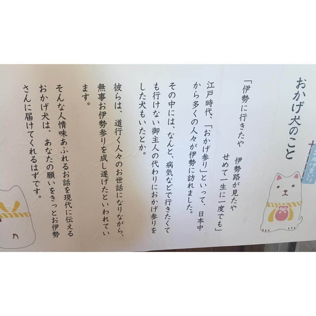 喜多よしかさんのインスタグラム写真 - (喜多よしかInstagram)「江戸時代にお参りに行けないご主人の為に、代わりにお参りに行った犬もいたらしい😭 ・ 実家で飼っていた犬が柴犬だったので、私もおかげ柴犬を連れて帰って来ました🐕🌸 ・ #私のお土産 #柴犬」4月10日 23時16分 - yoshika_1002_official