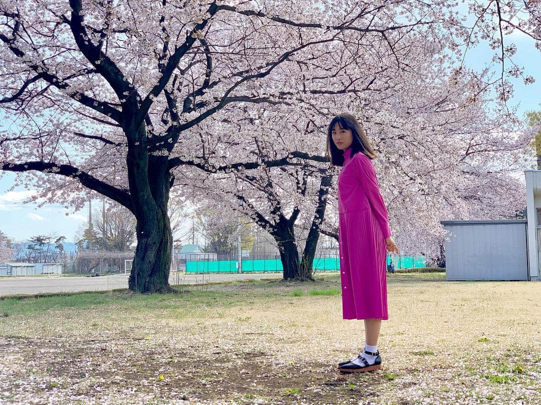 大友花恋さんのインスタグラム写真 - (大友花恋Instagram)「さくら、さくら。 冷たい日に、写真からぽかぽかを。 #今夜はくらかれ」4月10日 17時54分 - karen_otomo