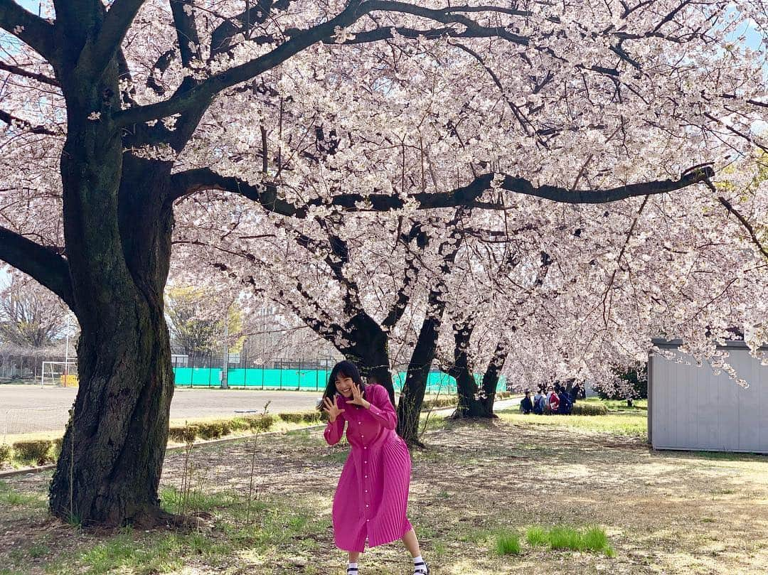 大友花恋さんのインスタグラム写真 - (大友花恋Instagram)「さくら、さくら。 冷たい日に、写真からぽかぽかを。 #今夜はくらかれ」4月10日 17時54分 - karen_otomo