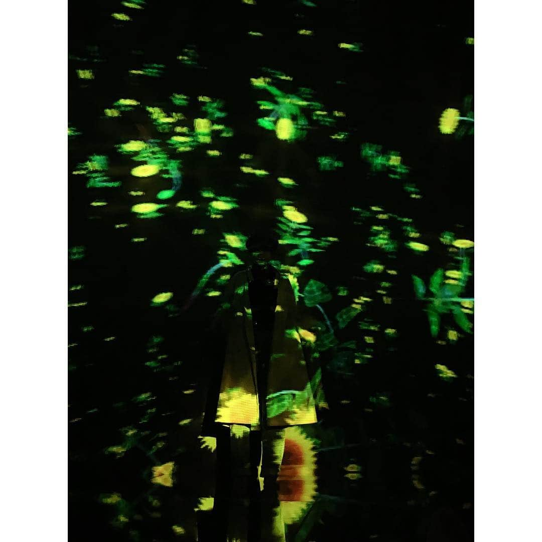 宮澤佐江さんのインスタグラム写真 - (宮澤佐江Instagram)「最高。幸せな世界すぎた。 ． #teamlab ． あとこのトレンチコートかわいいよね。 @middla_official ✨」4月10日 17時55分 - sae_3830