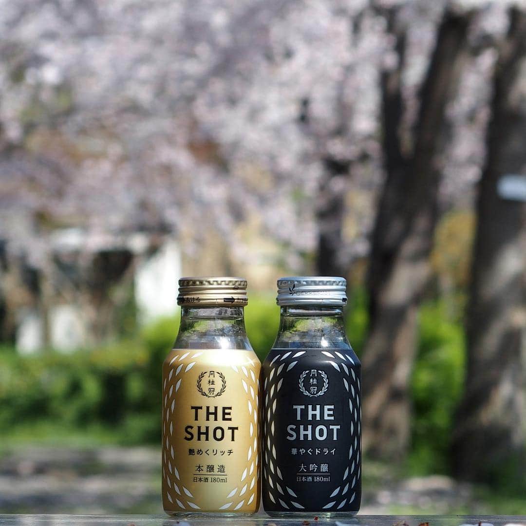 Gekkeikan Sake Officialのグルメインスタ