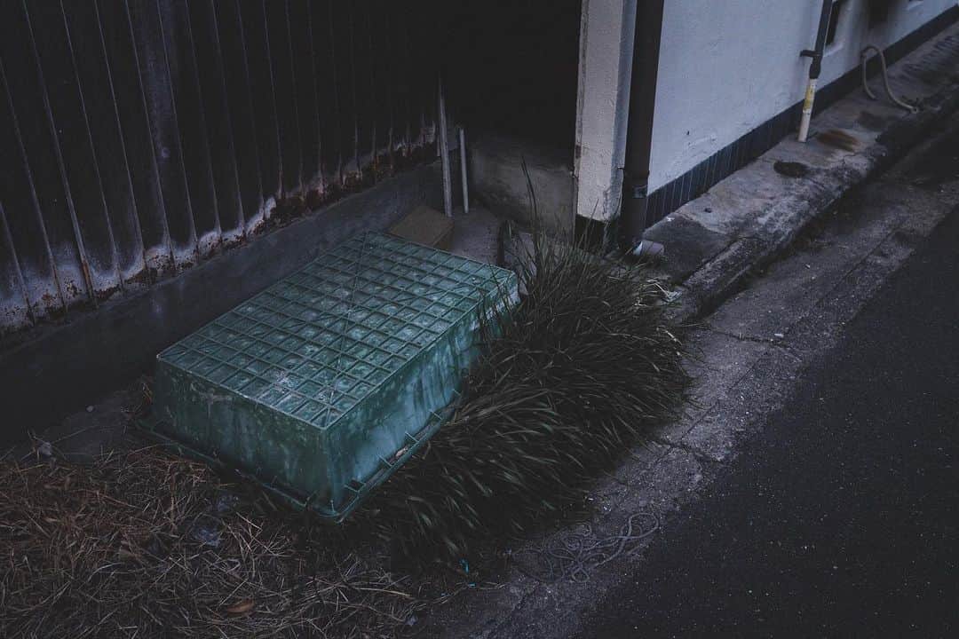 Shinsuke Inoueのインスタグラム：「Warning.Plastic never can be real. #Japan #日本」