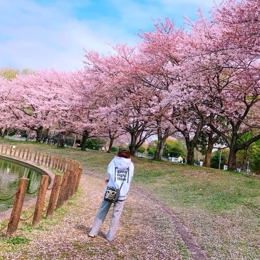 mii_stagramさんのインスタグラム写真 - (mii_stagramInstagram)「🌸🌸🌸 ・ ☞ ☜10枚🤭スワイプ☞ ☜ ・ 水曜日(^ー^)お疲れ様でしたぁ〜♪ ・ 先日ホームセンター帰りに かれん🐶と寄り道🚗 ³₃ 某所へリベンジお花見～🌸🌸🌸 ・ @beep_ss さんの ロゴパーカー✨✨ #goodnight5tore  オーバーサイズなので 気になるお尻もスッポリ〜🎶🎶 ・ igにpostする写真は どうしても余所行きな私になるけど いつもこんな感じで愛犬と近所ウロついてます‪𐤔‪𐤔 ・ もう桜も終盤で桜の絨毯も凄くて 池に浮いた桜の花びらや鴨まで～🦆🦆🌸 沢山載せたので良かったら 目の保養にどうぞ🤗💕 ・ ・ 今日は寒すぎる寒の戻り ❄:;((＞﹏＜๑));:❄ 体調崩されませんように ご自愛くださいませ💓💓💓 ・ どうしてもアプリで撮った写真 postする前は大丈夫なのに postすると画質が悪くなる😱 ・ ・ bag @cindibendi  pants @gu_global  @gu_for_all_ ・ ・ ・ ・ #sakura #コーデ#ファッション#パーカー#カジュアル#カジュアルコーデ#大人カジュアル#きれいめカジュアル#kalie #kalie公式アンバサダー #お散歩#お花見コーデ#おしゃれさんと繋がりたい #お花見#桜#さくら#はなまっぷ #はなまっぷ桜2019 #ダックスフンド #ミニチュアダックス#いぬすたぐらむ #わんこなしでは生きていけません会 #愛犬#シニア犬#景色#風景#ダレカニミセタイケシキ #インフルエンサー」4月10日 18時13分 - miyuki.0419.karemari