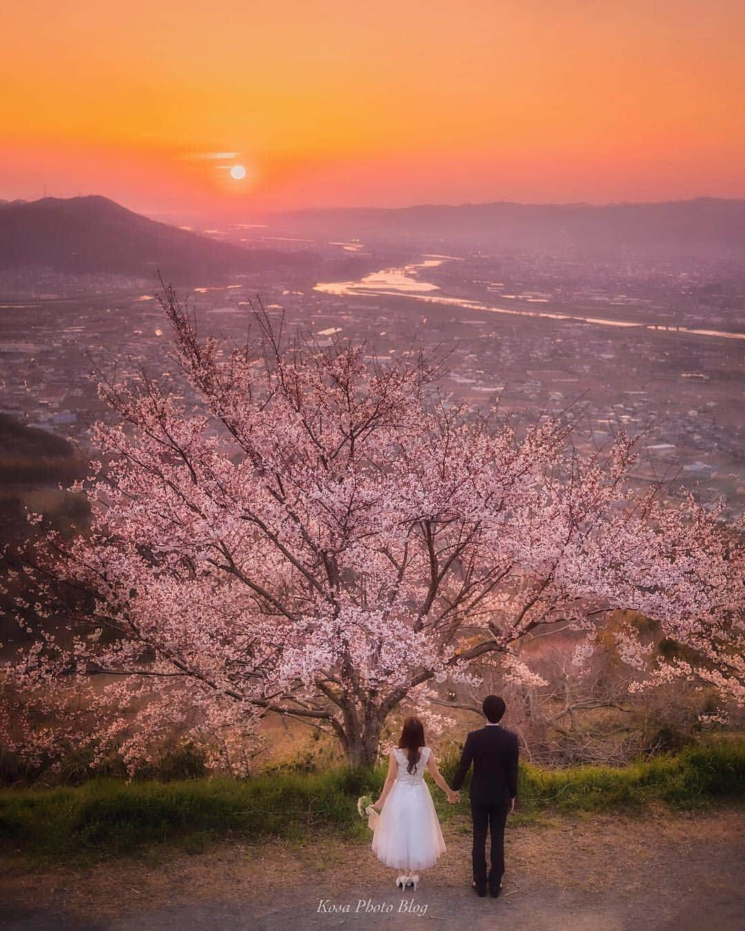 コサさんのインスタグラム写真 - (コサInstagram)「夕日と桜が狙える丘へ行ってきました👍 ドレスと桜が、ほんのりオレンジ色に染まる素敵な光景でした😍 . Location:和歌山 Wakayama/Japan Data:2019.4.4 Model: @yy.o_o . #LBJ_桜2019 #apj_桜フェス2019 #as_桜2019 #team_jp_春色2019 #bestjapanpics_桜2019一部 #花びら大回転2019 #rox_sp2019 #IGersJP #Japan_Daytime_View #桜旅のセカイ #ap_japan_member #グッドトリップ和歌山 #はなまっぷ #jp_portrait部 #vivid_impact #light_nikon #sorakataphoto #LBJ_members #広がり同盟メンバー #nipponpic_member #art_of_japan_ #tokyocameraclub #dpj_member #team_jp_ #IG_PHOS #photo_jpn #ptk_japan #pt_life_ #bestjapanpics #Lovers_Nippon」4月10日 18時14分 - kosa_photo