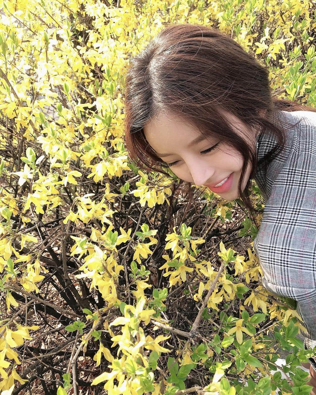 Son Ju Heeさんのインスタグラム写真 - (Son Ju HeeInstagram)「ㄲㅑ💛 개나리노란꽃그늘아래가지런히놓여있는꼬까신하나 😝 - #나이가들수록꽃이좋아져 #꽃에파묻혀살고파 #꽃향기킁킁」4月10日 18時16分 - juhee__ss