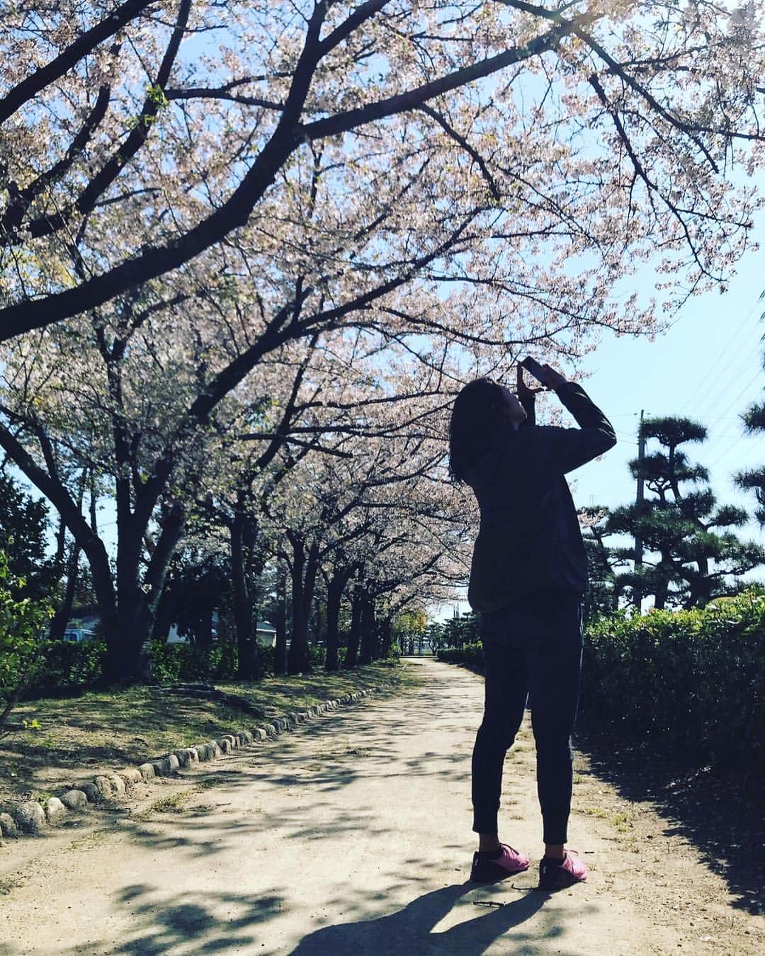 溝江明香さんのインスタグラム写真 - (溝江明香Instagram)「せっかく綺麗に咲いていた桜も雨で散っちゃうなあ…🌸☔️ 今年も自分の中で桜写真大会📸 #sakura #cherryblossom #spring #桜 #春」4月10日 18時23分 - sayakamizoe
