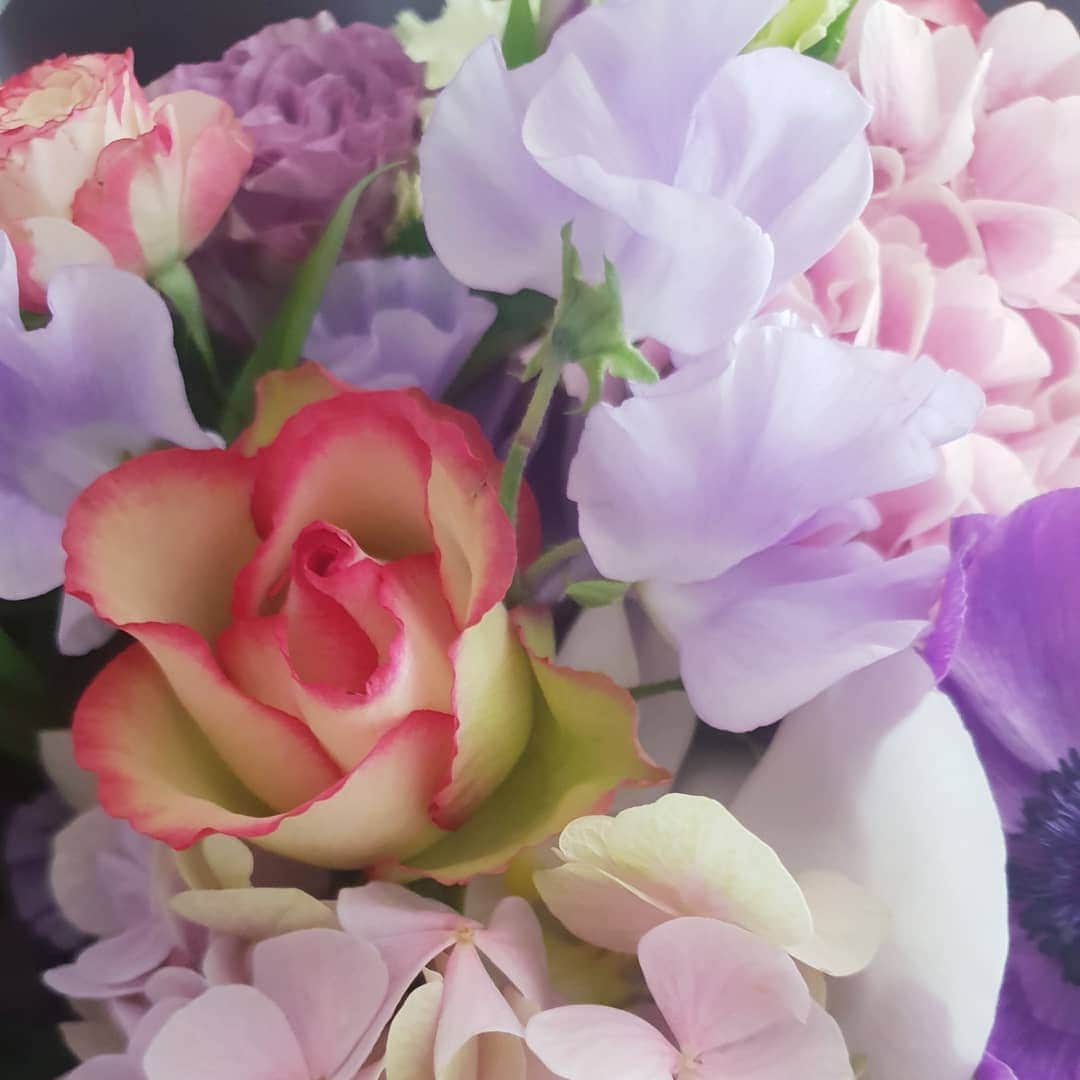 キム・アジュンさんのインスタグラム写真 - (キム・アジュンInstagram)「겨울의 꽃들에게. 고맙습니다 🤗」4月10日 18時25分 - ashia_kim