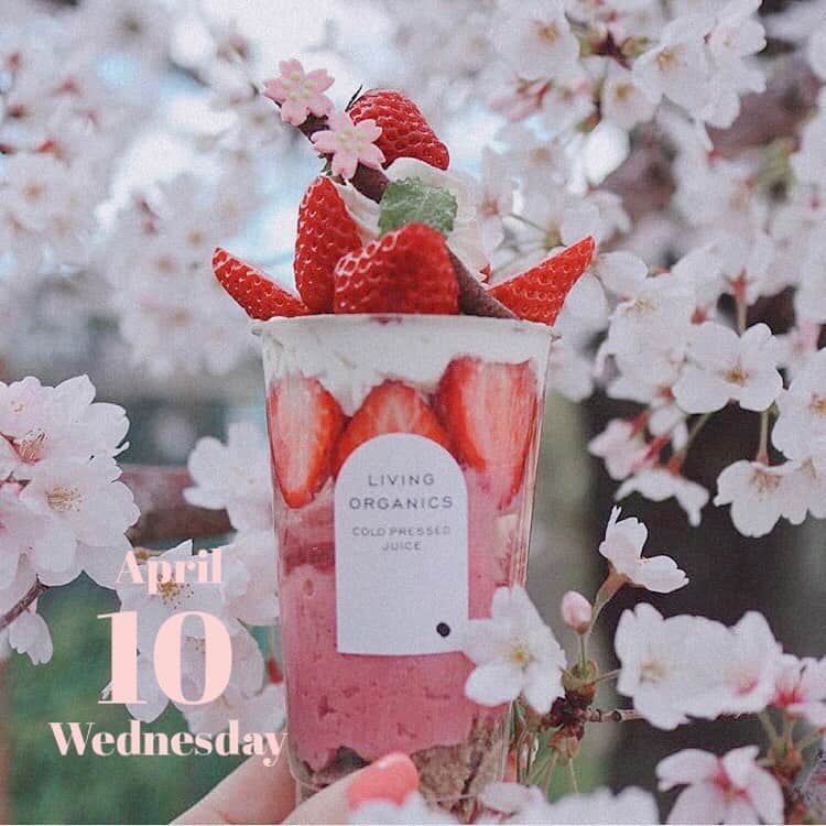 「SNOW」顔認識カメラアプリのグルメインスタ