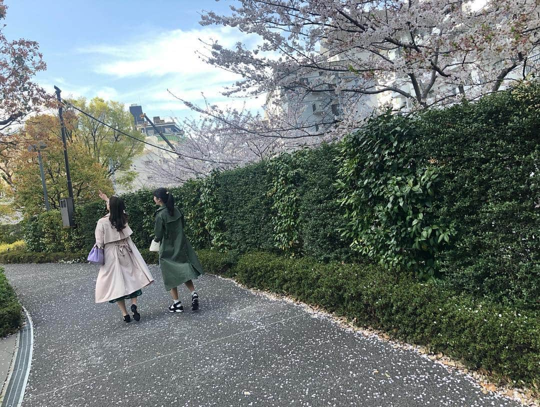 角田奈緒子さんのインスタグラム写真 - (角田奈緒子Instagram)「✱ミッドタウンお花見②  ななちゃんとゆいちゃんと行ってきました！！ とても楽しかった🥰  オシャレな飲み物飲んで、テンション上がっていたキャスター地方上京組です🤭💕 . 花粉が辛くて心配かけてごめんね🥺  #お花見 #桜 #ミッドタウン #六本木」4月10日 18時53分 - naokoon1122