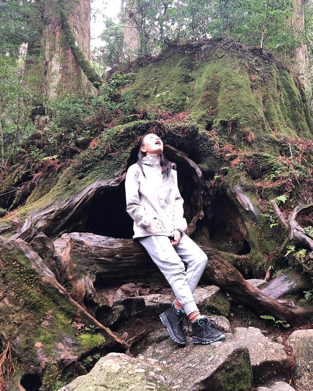 矢野未希子さんのインスタグラム写真 - (矢野未希子Instagram)「本当に美しい  美しく、力強く、優しく  自然のパワーはなんて 素晴らしいんだ！！ エネルギーが溢れていて すごい すごすぎる 屋久島🌳🌳🌳🌳✨」4月10日 18時55分 - mikko1104