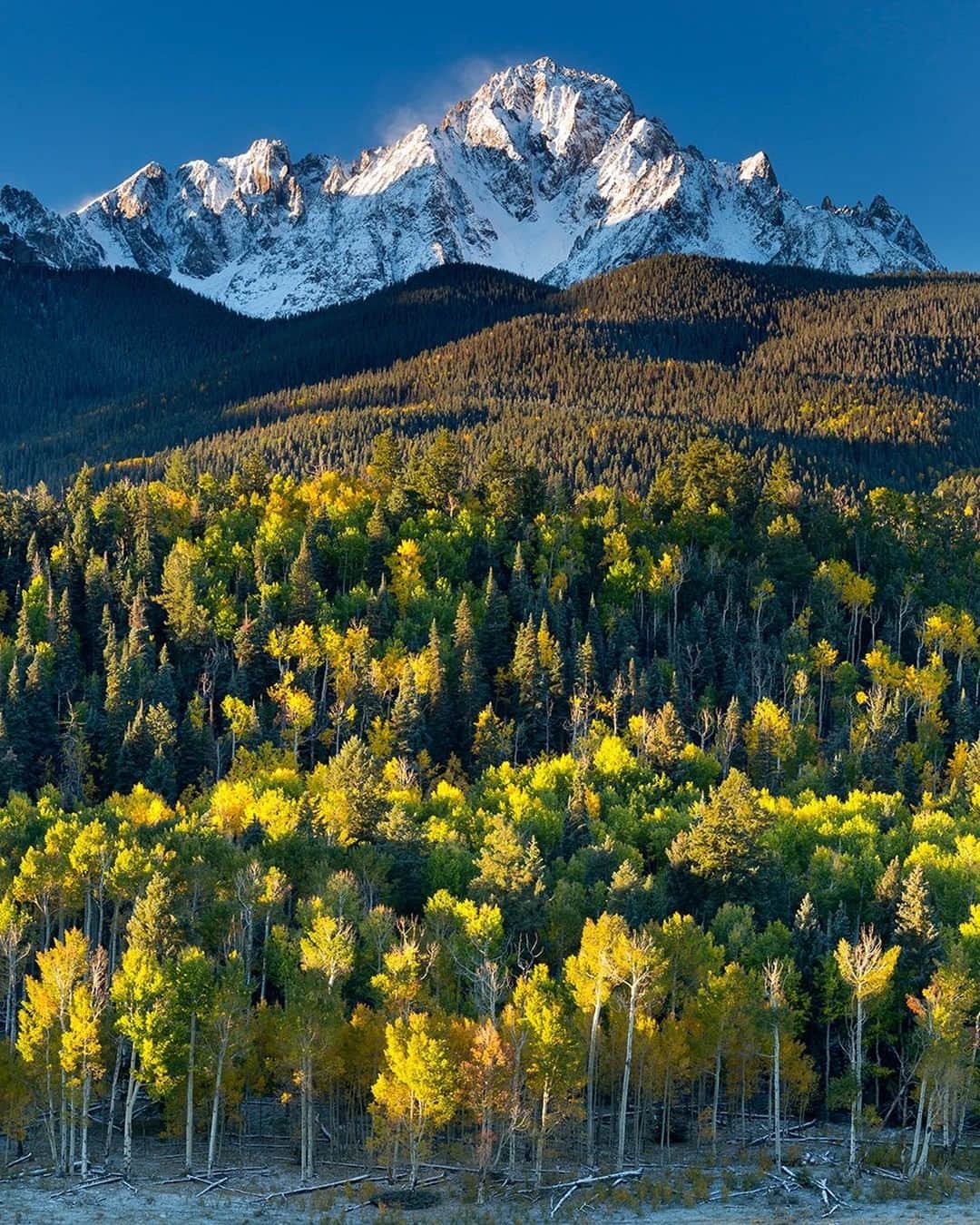 National Geographic Travelさんのインスタグラム写真 - (National Geographic TravelInstagram)「Photo @stephen_matera | Mt. Sneffels in autumn, southwest Colorado near Ridgway. At 14,158', Mt. Sneffels is the highest peak in the Sneffels Range and the highest peak in Ouray County. The stunning display of autumn color peaks in late September/early October. Follow me @stephen_matera for more images like this from Colorado and around the world. #colorado #autumn #colors #sanjuanmountains」4月10日 19時04分 - natgeotravel