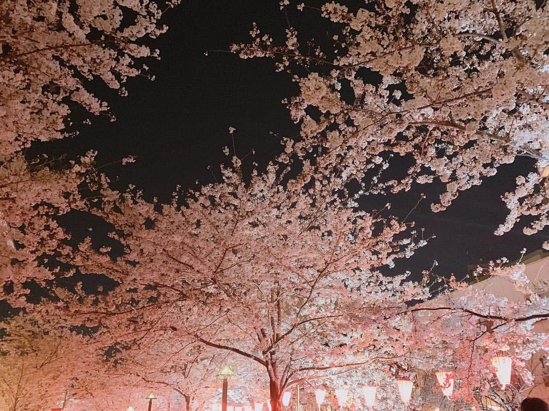 神田咲実さんのインスタグラム写真 - (神田咲実Instagram)「夜桜といえば * 毎度おなじみのこの方と @saki313apo🌸🧡 * 何かにつけて すぐ花見しようとする我々🌸笑 * #そんな今日は桜雪なんて🌸❄️ #今年は本当に長く桜を楽しめるね #夜桜 #SAKURA#さくら#目黒川 #中目黒」4月10日 19時37分 - sakimikanda