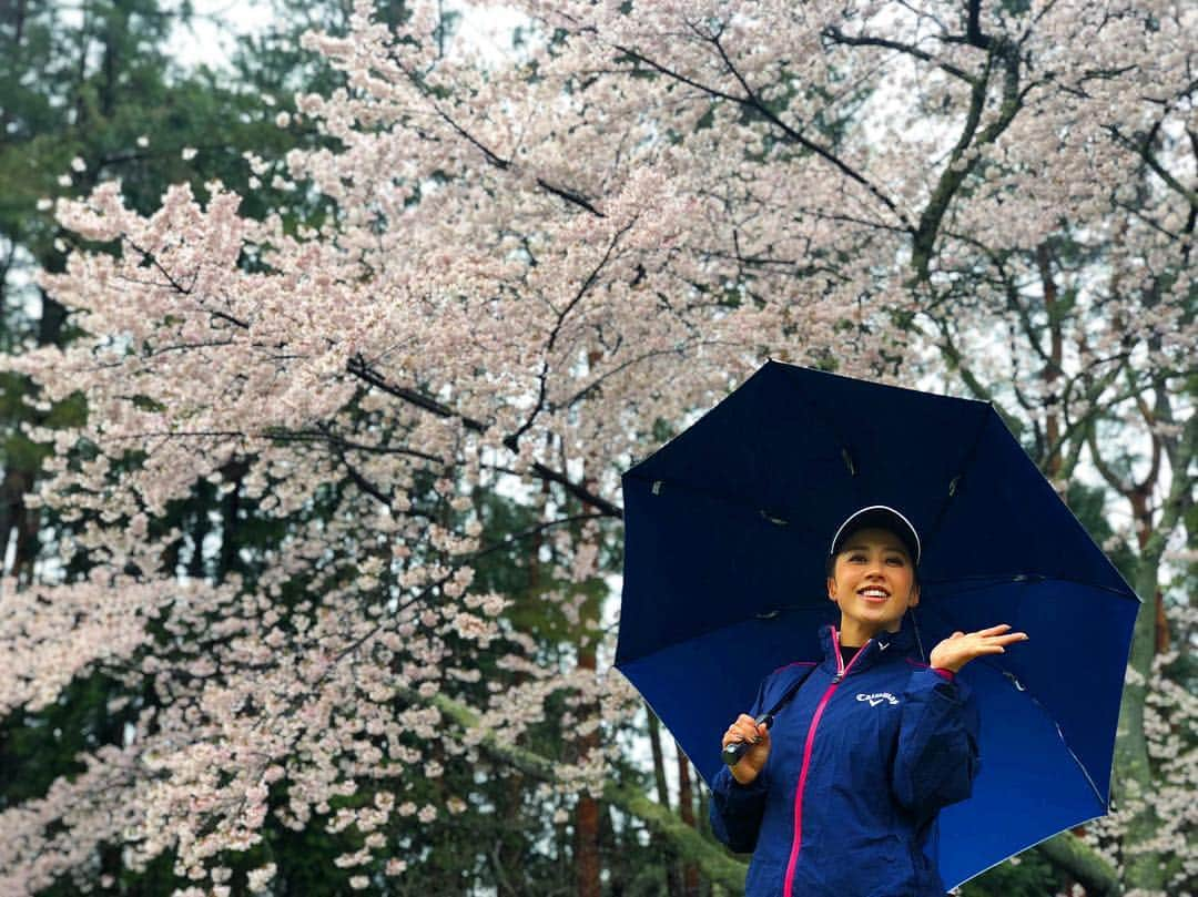 加賀其真美さんのインスタグラム写真 - (加賀其真美Instagram)「今日はすごく寒くて雨だったので１８H歩いてしっかりコースチェックしてきました😃👍👍👍 朝から練習もしっかりできたし良い準備ができてます🤩✨ 琵琶湖CC初めて回ったけどすごく良いコースでした😳♩ 桜キレイ🌸😚 ． 明日もコツコツと👊👊👊⭐️」4月10日 19時57分 - mami_kagasono