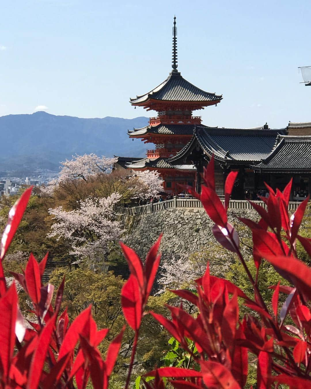 Rodner Figueroaさんのインスタグラム写真 - (Rodner FigueroaInstagram)「A site of prayer!!! 🙏🏻 #kiyomizuderatemple #kyoto #japan #japón」4月10日 19時52分 - rodnerfigueroa