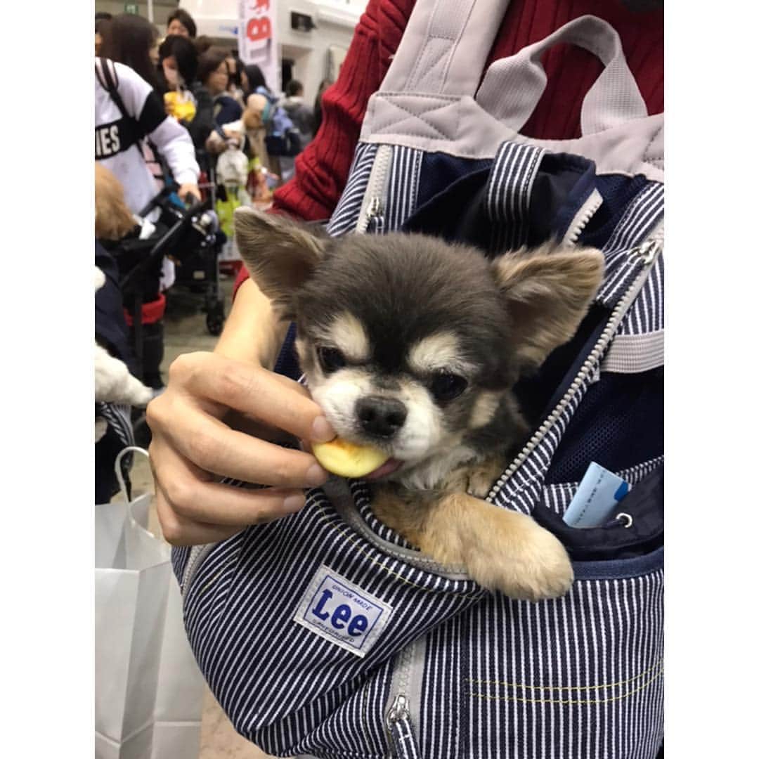 CheriWANのインスタグラム