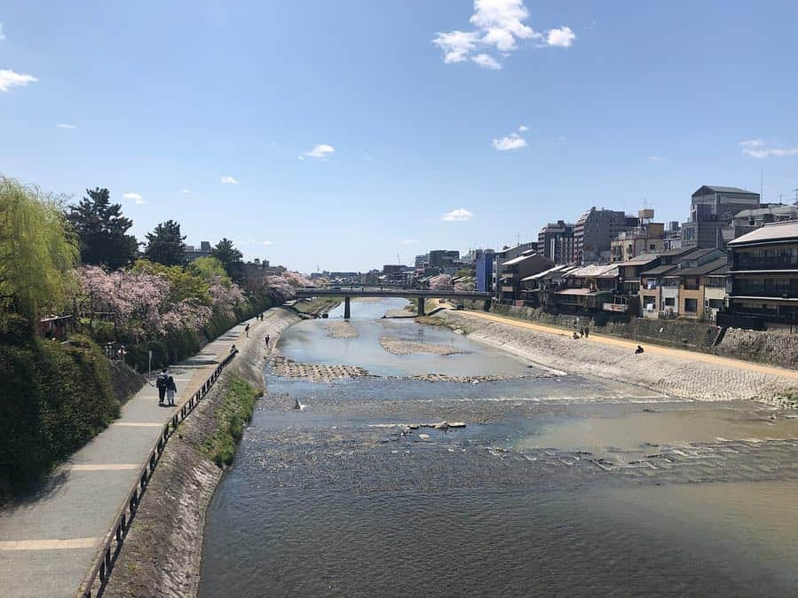 朝日光輝さんのインスタグラム写真 - (朝日光輝Instagram)「とにかく良く歩きました🚶‍♂️🚶‍♂️🚶‍♂️ 八阪神社の円山公園で花見🌸もできたし、  京都の春満喫です😊✨ * * * * * * * * * * #京都#kyoto#桜#サクラ#さくら#🌸#Sakura#春#京都の春#満喫#八阪神社#円山公園#鴨川#散歩#お花見#美容師の休日」4月10日 19時56分 - mitsuteru_asahi