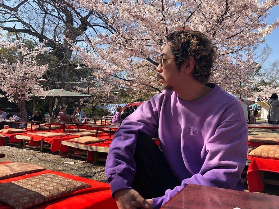 朝日光輝さんのインスタグラム写真 - (朝日光輝Instagram)「とにかく良く歩きました🚶‍♂️🚶‍♂️🚶‍♂️ 八阪神社の円山公園で花見🌸もできたし、  京都の春満喫です😊✨ * * * * * * * * * * #京都#kyoto#桜#サクラ#さくら#🌸#Sakura#春#京都の春#満喫#八阪神社#円山公園#鴨川#散歩#お花見#美容師の休日」4月10日 19時56分 - mitsuteru_asahi