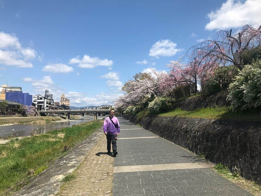 朝日光輝さんのインスタグラム写真 - (朝日光輝Instagram)「とにかく良く歩きました🚶‍♂️🚶‍♂️🚶‍♂️ 八阪神社の円山公園で花見🌸もできたし、  京都の春満喫です😊✨ * * * * * * * * * * #京都#kyoto#桜#サクラ#さくら#🌸#Sakura#春#京都の春#満喫#八阪神社#円山公園#鴨川#散歩#お花見#美容師の休日」4月10日 19時56分 - mitsuteru_asahi