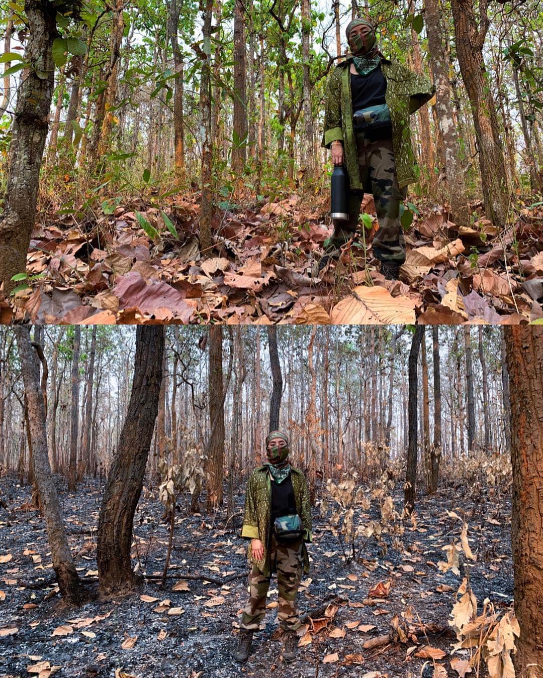 Amata Chittaseneeさんのインスタグラム写真 - (Amata ChittaseneeInstagram)「คืนต้นไม้สู้ต้นน้ำ ‘วิชาป่าเต็งรัง’ -  รูปด้านบน ป่าด้านขวาของถนน - รูปด้านล่าง ป่าด้านซ้ายของถนน - ป่าเต็งรังตอนหนัาแล้ง รอวันที่ฝนตก วันนี้พวกเราเดินเข้าป่า เรัยนรู้ป่าผลัดใบ ศึกษาวงจรชีวิตเห็ดป่าไมคอร์ไรซากับต้นไม้  เก็บใบตองตึง เรียนรู้ประโยชน์จากใบตองตีงเพื่อที่จะนำมาใช้เป็นกระถางเพาะเมล็ดพันธุ์ -  เรื่องปากท้องมันแค่ส่วนเสี้ยวหนึ่งของเหตุผลการเกิดไฟป่า ... ยังมีอีกหลายเหตุมากมายหลายมิติ ในปัญหาด้านสังคม พื้นที่ทับซ้อน กฏหมาย ความขัดแย้งในพื้นที่ และอึกหลายๆเหตุผลที่เป็นเหตุเกิดไฟป่ากระทบเป็นลูกโซ่ วงกว้าง -  เมื่อโลกเปลี่ยน เราควรเปลี่ยนตามโลก เพื่อให้โลกอยู่กับเราไปนานๆ - นี่แค่เพียงเหตุผลจากชุมชนเดียวเท่านั้น ยังมีหลายชุมชนที่คิดเหมือนหรือแตกต่างตามบริบทไป - เห็ด, ผักหวาน,หน่อไม้ หรือผักต่างๆบางชนิดไม่ได้มีมากขึ้นเพราะการเผา แต่การเผาป่า ทำให้ง่ายขึ้นต่อการหา หลังจากฝนตก - ย้ำ* นี้ไม่ใช่แค่เหตุผลเดียวที่มีการเผาป่าในเมืองไทย」4月10日 19時59分 - pearypie