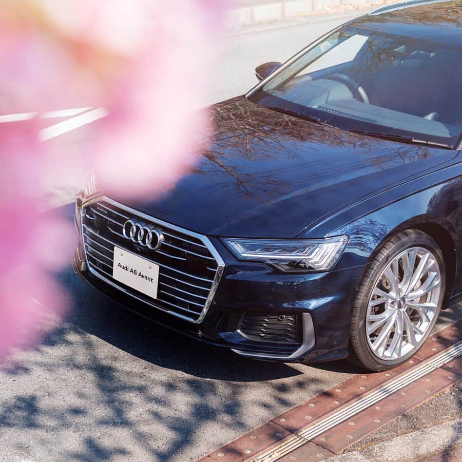 アウディ ジャパンさんのインスタグラム写真 - (アウディ ジャパンInstagram)「新しいAudi A6 Avantのシングルフレームグリルが放つ曇りのない輝きと、春の訪れを喜ぶように咲き誇る桜。 その取り合わせは、さながらアートのようです。  #Audi #A6 #AudiA6 #Audijapan #桜 #sakura #ドライブ #伊豆　#MomentswithAudi #Audigramm #carporn」4月10日 20時00分 - audijapan