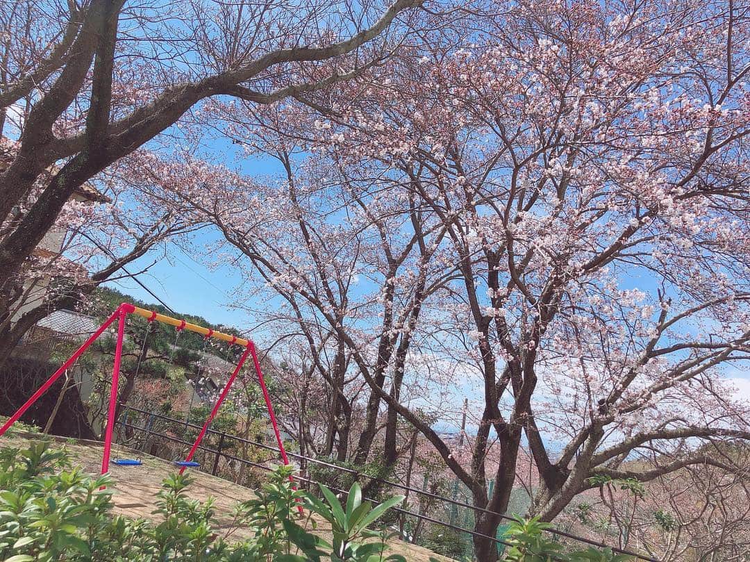 足立梨花さんのインスタグラム写真 - (足立梨花Instagram)「もう桜も終わっちゃうね〜🌸」4月10日 20時12分 - adacchee