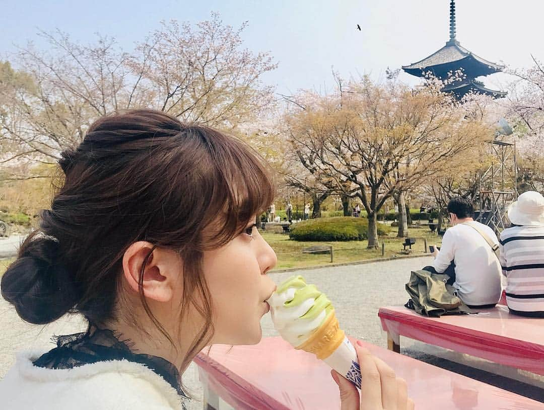 森夏美さんのインスタグラム写真 - (森夏美Instagram)「先日、#柴田美奈 アナウンサーと #京都 で #お花見 をしました。 #世界遺産に指定されている #東寺 へ✨  見事な満開の桜に囲まれる東寺は、 息を呑むほど美しく感じました。  柴田アナが「森さんの可愛い写真撮れました！！」 と寄ってきたので確認すると…… . .  必死に写真を撮るわたしの後ろ姿でした‼︎(写真4枚目) ふぅ、ソフトクリームでも食べて現実逃避しよっと…🍦 .  #kyoto #sakura #cherryblossom #後輩との束の間デート #ちょっと先輩風を吹かしたりなんかしたり #でも褒められたのは後ろ姿 #背中で語る先輩目指します #泣いてないよ #森夏美」4月10日 20時46分 - mori_natsumi0722