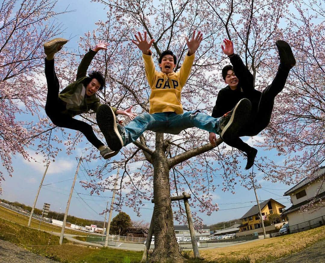 GoProさんのインスタグラム写真 - (GoProInstagram)「普通の #花見 では物足りない！ #TripOn 🌸 📷 @ta_tsu1016 ・ ・ ・ #GoProTravelJapan #GoPro #GoProJP #春 #桜 #とりあえず跳んどけ #国内旅行」4月10日 20時51分 - goprojp